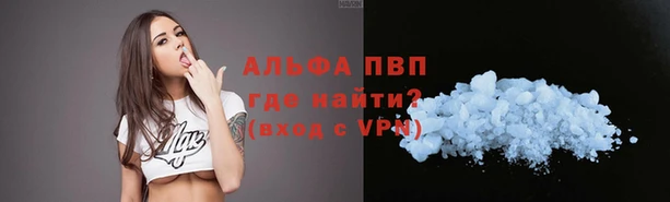 крисы Майский