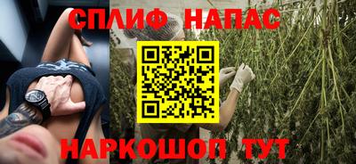 трава Бийск