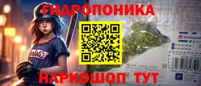 кокс Берёзовский