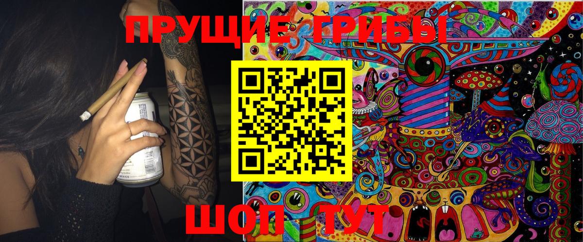 Псилоцибиновые грибы Psilocybe Кореновск