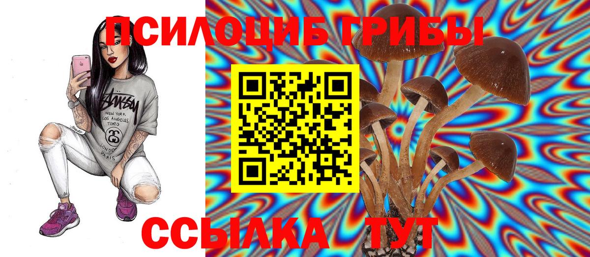 Кореновск  Галлюциногенные грибы GOLDEN TEACHER  Псилоцибиновые грибы Psilocybe  Вход с VPN 