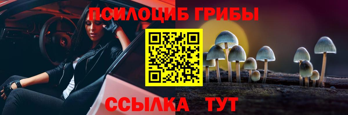 Псилоцибиновые грибы Psilocybe Кореновск