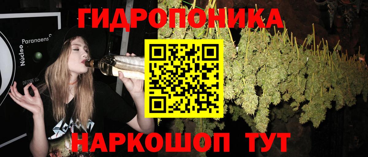 Бошки Шишки планчик Кореновск